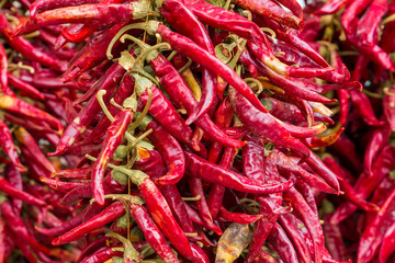 garland chili pepper group of sharp pods vertical row culinary background close-up