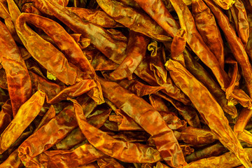 base culinary lots of pods orange-red chili peppers bright web menu design