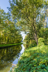 Fresh green trees reflecting in a little river in the Netherlands