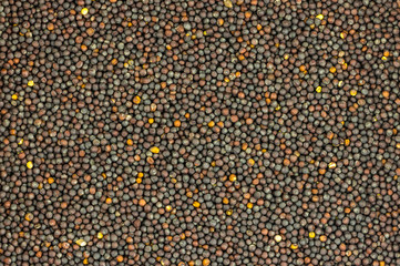 background brown grain round base many base flora oil source rapeseed natural substrate design