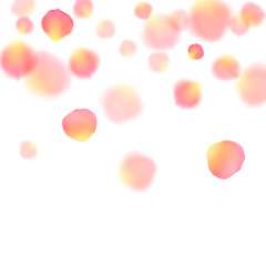 Rose gold petals flying cosmetics vector background.