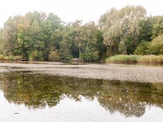 outside nature lake landscape autumn day water surface beautiful