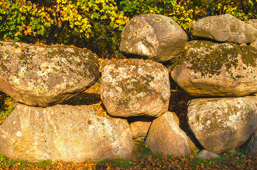 Old rocks with fresh green moss, natural texture background