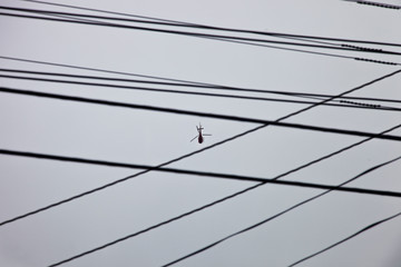 Helicopter Flying Overhead Between Power Lines