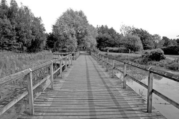 Obraz premium Bridge