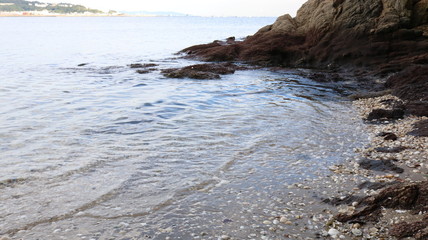 蒲郡 竹島の海岸、波打ち際