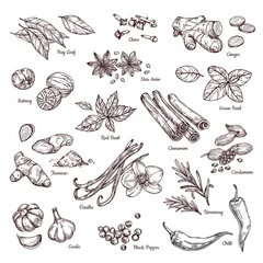 Fotobehang Hand drawn spices. Vanilla and pepper, cinnamon and garlic. Sketch kitchen herbs isolated vector set. Illustration of ingredient herb, garlic and spice for cooking © MicroOne