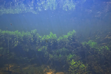 Fototapeta na wymiar underwater mountain clear river / underwater photo in a freshwater river, fast current, air bubbles by water, underwater ecosystem landscape