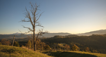 idyllic view of the Carpathian mountains