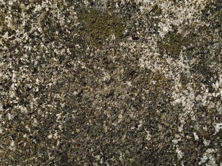 concrete texture 