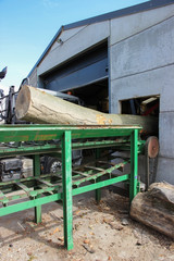 Fototapeta na wymiar tree trunk entering in a sawmill
