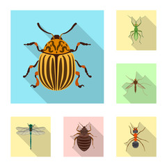 Isolated object of insect and fly logo. Collection of insect and element stock vector illustration.
