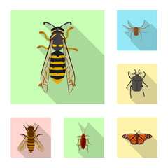 Vector design of insect and fly symbol. Collection of insect and element stock vector illustration.