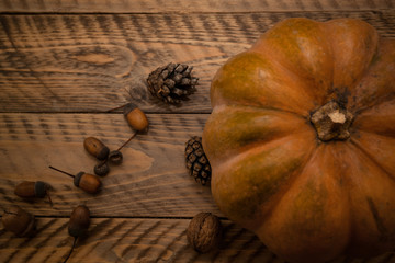 Autumn composition with pumpkin. Halloween concept