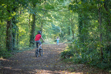 Obraz premium Young boy cycling through the woodland