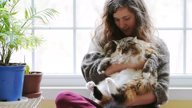 Slow motion of young woman owner, female person holding in arms, hugging fat, overweight, maine coon cat meowing, angry, backlight from bright window light in room, potted green plants potsz