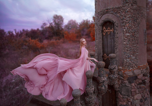 wonderful elegant girl elf with blond fair hair with tiara, wearing a luxurious long light pink fluttering dress costume, standing on the staircase to the tower of the old castle. autumn art photo