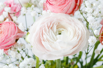 Pink ranunculus flowers and tiny white gypsophila paniculata.