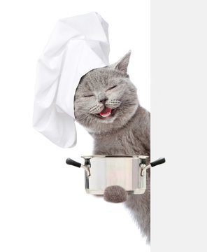 Happy cat in chef's hat holding pan over white banner. isolated on white background