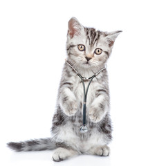Fototapeta premium Kitten with stethoscope on his neck standing on hind legs. isolated on white background