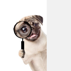 Puppy looks through a magnifying lens. Isolated on white background