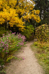 Autumn landscape in the park.