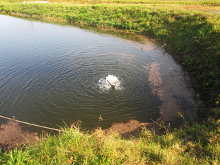 view of the lake from the hill