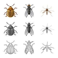 Vector design of insect and fly logo. Set of insect and element stock vector illustration.