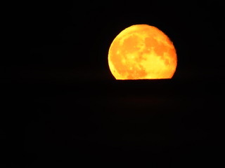 Mond