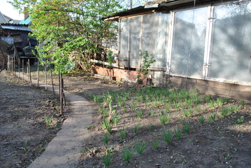garden 2