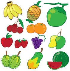 Fruit Apple Pineapple Banana Coconut Orange Papaya Durian Mango Grape Rambutan Watermelon Strawberry vector Image