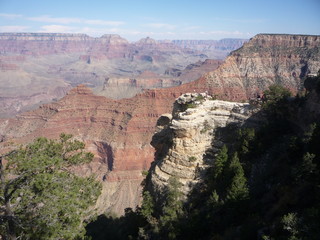 trip to the grand canyon 