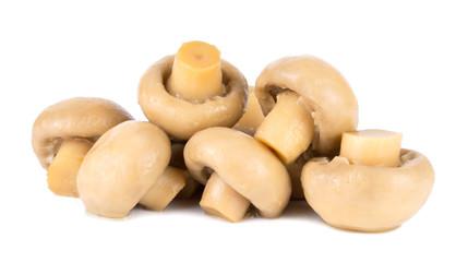 Group of tasty Pickled marinated mushrooms isolated on white background