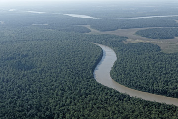 Vue aérienne forêt et rivière Montsinéry en Guyane française.