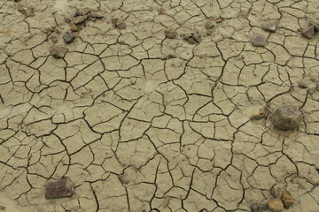 tierra seca