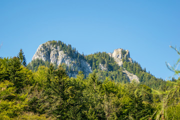 Anblicke rund um den Schwarzensee in Oberösterreich Österreich