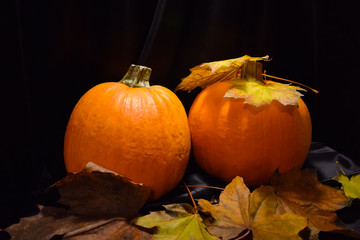 Two large ripe pumpkins on a black background. Autumn maple leaves. Decorative elements to...