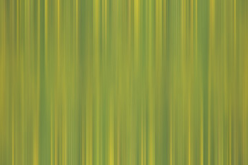Obraz premium green gradient background / abstract blurry fresh green background