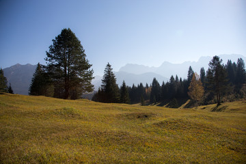 Fototapeta premium Hügellandschaft in den Alpen