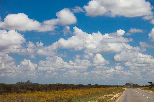 South African road through the savannas and deserts with markings and traffic signs. .