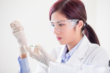 woman scientist take petri dish