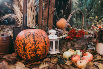 Autumn food decorations for thanksgiving