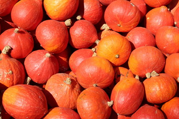 Herbst -K&uuml;rbisimpression