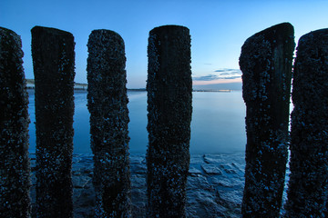 Wave breaker made of wooden stakes and stones on the beach. Just after sunset, blue hour