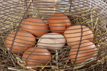 Fototapeta na wymiar fresh farm eggs in wire mesh basket on the straw