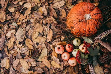 Autumn food decorations for thanksgiving