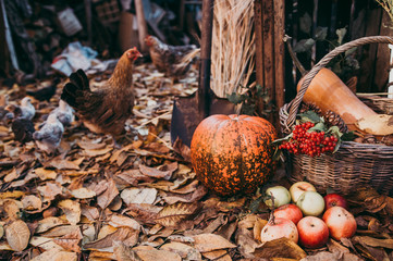Autumn food decorations for thanksgiving