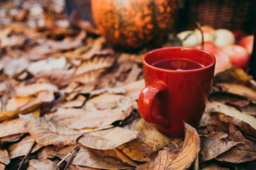 A cup of tea in autumn