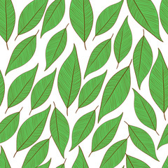 Green leaves on white background.Sketch. Background, wallpaper, seamless.