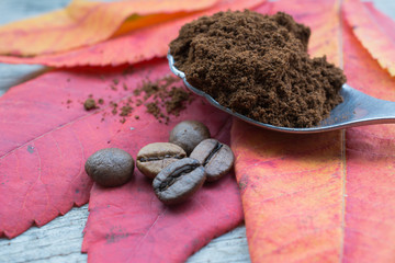 Coffee bean on red leaves 
